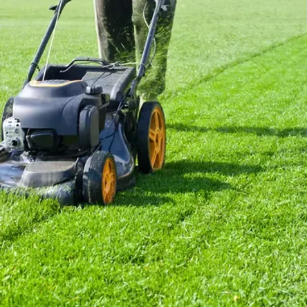 Tonte de pelouse professionnelle par Clear Up
